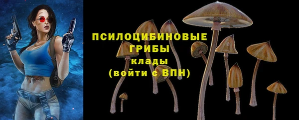 меф Нягань
