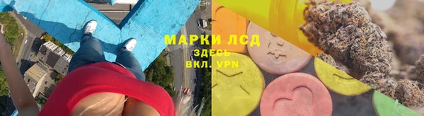 прущие грибы Покровск
