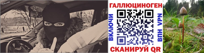 купить  сайты  Сураж  Галлюциногенные грибы Magic Shrooms 