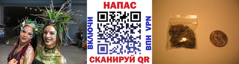 МАРИХУАНА THC 21%  мориарти какой сайт  Сураж  как найти закладки 
